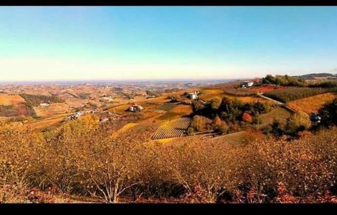 Maison Younesco - Villa Indipendente Exclusive Castagnole delle Lanze Kültér fotó
